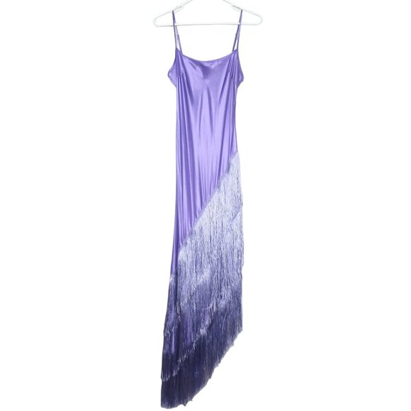 Delfi Collective Cristina Asymmetrical Fringe Dress Lavender Purple - Small - Picture 6 of 10